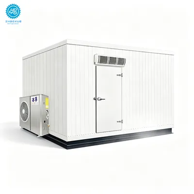 Commercial Quick Freezing Room for Meat Seafood Processing