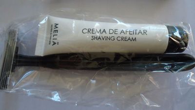 Shaver (BGSZ12003)