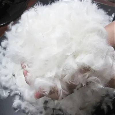 Factory Supply Pillow / Cushoin Filling RDS White Washed Goose Feather