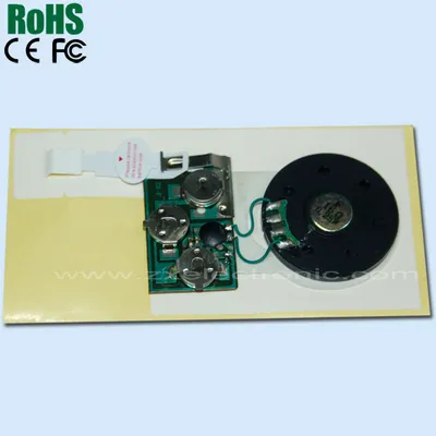 Greeting Card Sound Module