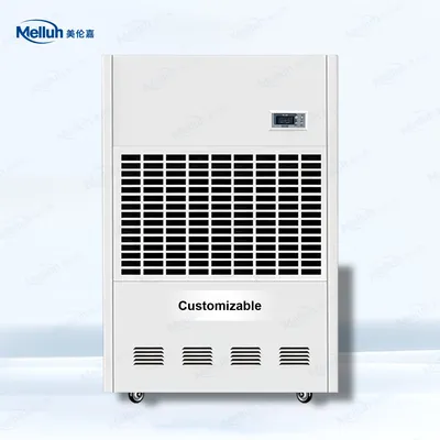 Air Circulation Humidist Control 20L a Day for Home Small Air Dehumidifier