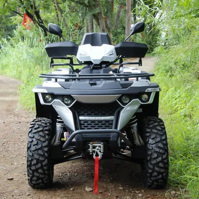 Linhai ATV 500cc Quad Bike 4X4 Petrol Buggy for M550L