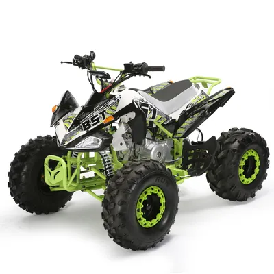 125cc ATV Quad Bike Automatic Transmission Petrol off Road Vehicle Chain Drive