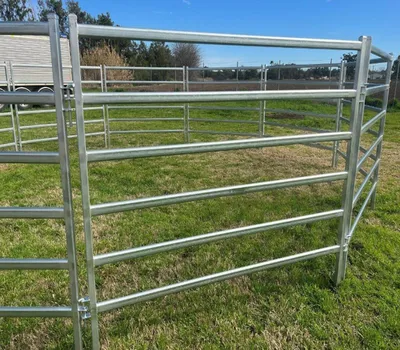 Heated Treated Galvanized Steel Metal for Horse Sheep Cow Enclosure 1.8m High Corral Cattle Panel