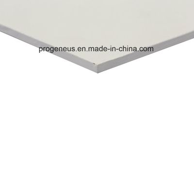 Progeneus Fiber Cement Ceiling Panels Suspended Ceiling