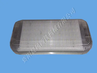 Ceiling Light in Driver's Cab