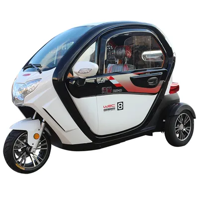 Hot Sale Electric Scooter with Three Wheel for Elderly 1000W Motor