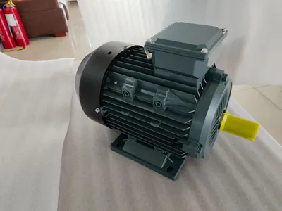 Ms/Mshe/Mse3 Series, Romovable-Feet, Aluminium Housing High Efficiency Three-Phase Asynchronous Motor