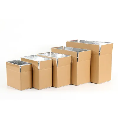 Eco-Friendly Recyclable Kraft Paper Insulated Shipping Packaging Cold Chain Aluminum Box