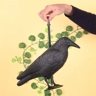 Actual Crows Decoy Simulation Crow Hunting Bait Tool for Shooting