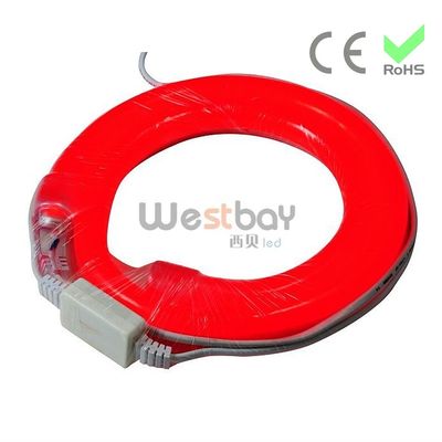 24V Superbright LED Neon Flex