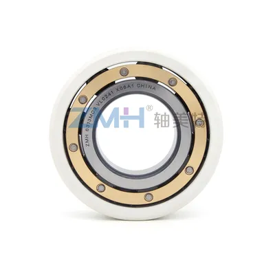Insulation Bearing 6313c3V2 for Marine Propulsion System