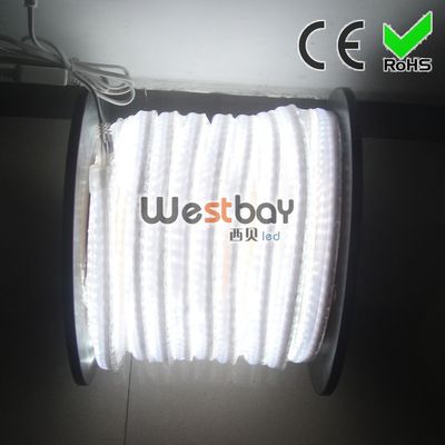 LED Neon Strip 120V