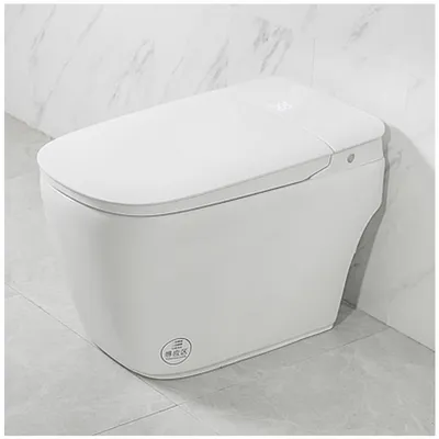 Sanitary Ware Siphonic One Piece Bathroom Smart Toilet