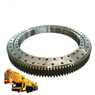Slewing Ring & Slewing Ring Bearing for Excavator