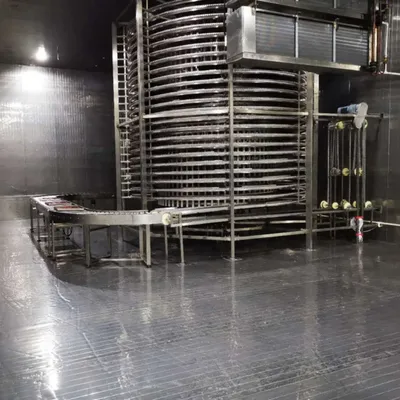 High Strength OEM Custom Automatic Spiral Freezing Machine for Seafood