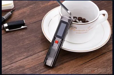Digital Voice Recorder (DVR18)