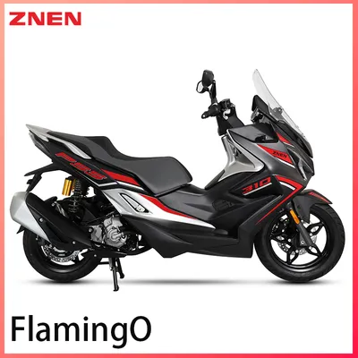 Custom OEM 250cc Gas Scooter 27.5nm Torque 790mm Seat 12V Battery