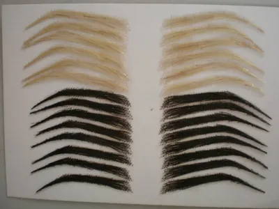 Eyebrow