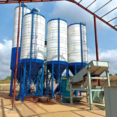 Fully Automatic Dry Mix Mortar Plant Tile Adhesive Making Machine with Packing System