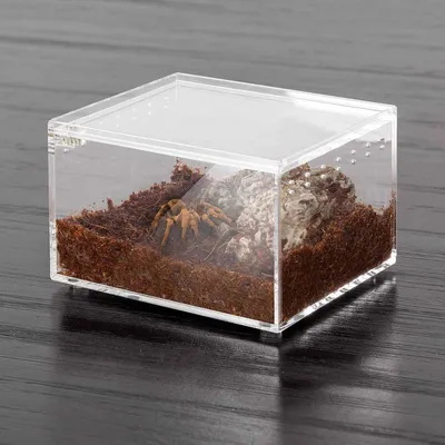 Transparent Acrylic Snake Scorpion Spider Reptile Breeding Box