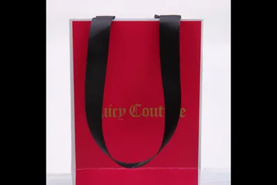 Custom Printed Cardboard Luxury White Kraft Paper Gift Bag with Ribbon Shopping