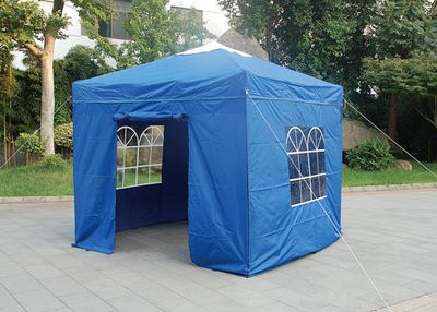 3m*3m Pop up Gazebo Tent Instant Shelter with Roof Vent