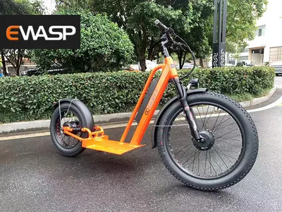26inch Two Wheel Ebike 500W 48V 10ah Fast off Road Electric Bike Scooter Adults
