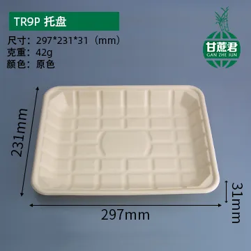 Tr9p-Disposable Eco-Friendly Rectangle Paper Tray