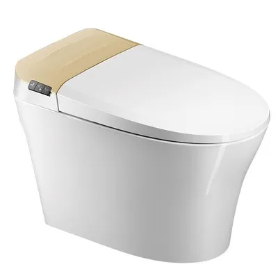 Smart Home Water Closet Intelligent Porcelain Toilet