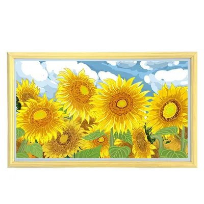 43-Inch Full HD LCD Electronic Photo Frame Art Album Ntf Picture Frame