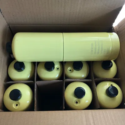 Empty Tped CE Steel Gas Cylinder 1L for Medical Laser BV