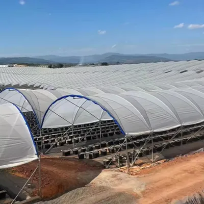Large Agricultural Rain Shelter Single Layer PE Film Tunnel