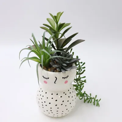 Indoor Desktop Mini Succulent Potted Simulation Succulent Plants Bonsai Combination