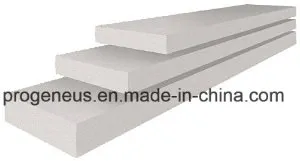 Progeneus High Quality AAC Panel for Floor/ALC Panel/Autoclaved Aerated Concrete Panel