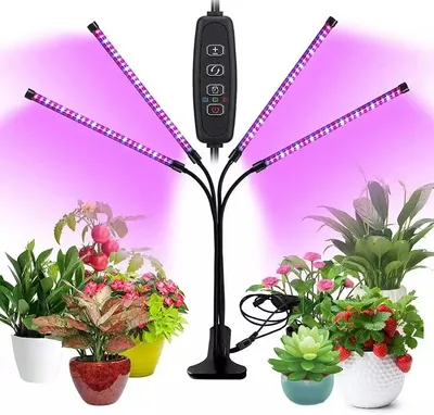Factory 6W12W18W24W Phytolamp APP Control 6h9h12h Timed Flexible Goose Neck Clip Plant Lighting Full Spectrum LED Grow Light