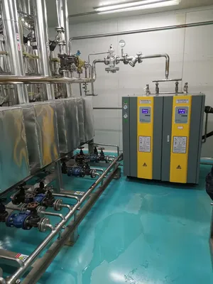 Portable Electric Steam Boiler for Home and Industrial Use