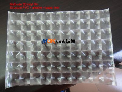 3D Multi Lens Film