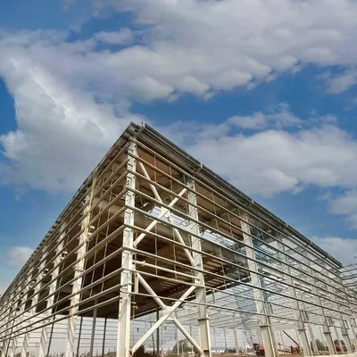 Long Life Customizable Logistics Plant Steel Structure Workshop