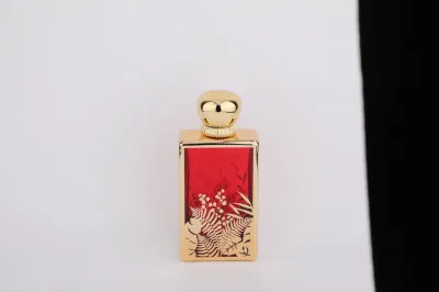 Custom Glass Sprayer Bottles Luxury Square Perfume Bottle Cosmetic Packaging with Sprayer Head