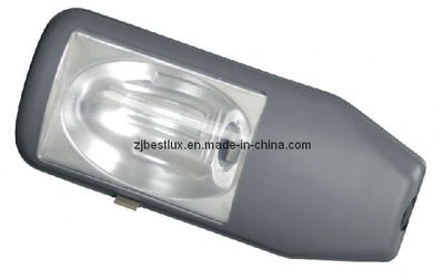 250-400W E40 Street / Road Light / Lamp (FL-1011)