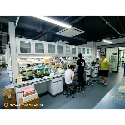 180kg Factory Price Sturdy Hospital Lab Bench with Storage Rack for Work