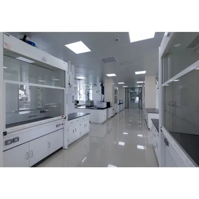 High Efficiency Lab School Fume Hood with Emergency Stop Button for Experiment