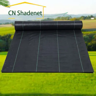 PP Woven Weed Mat Ground Cover for Blueberry Planting