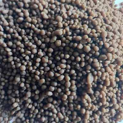 Diammonium Phosphate DAP 18-46-0 Fertilizer Brown Granules 50kg Customized Packaging