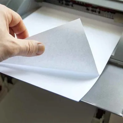 Paper A4 80 75 70 Grams A4 Office Paper