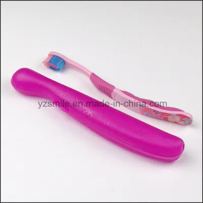 BPA Free Lgift Children Toothbrush Kit with Travel Case