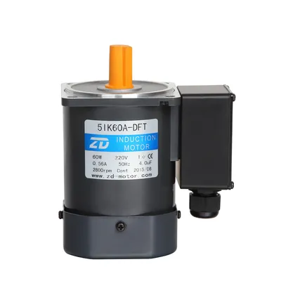 220V/110V Electric Induction AC Gear Motor