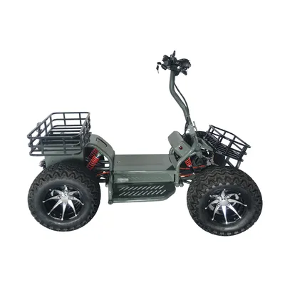 Electric ATV