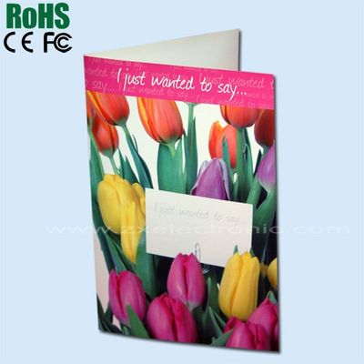 Colourful Recordable Talking Greeting Cards